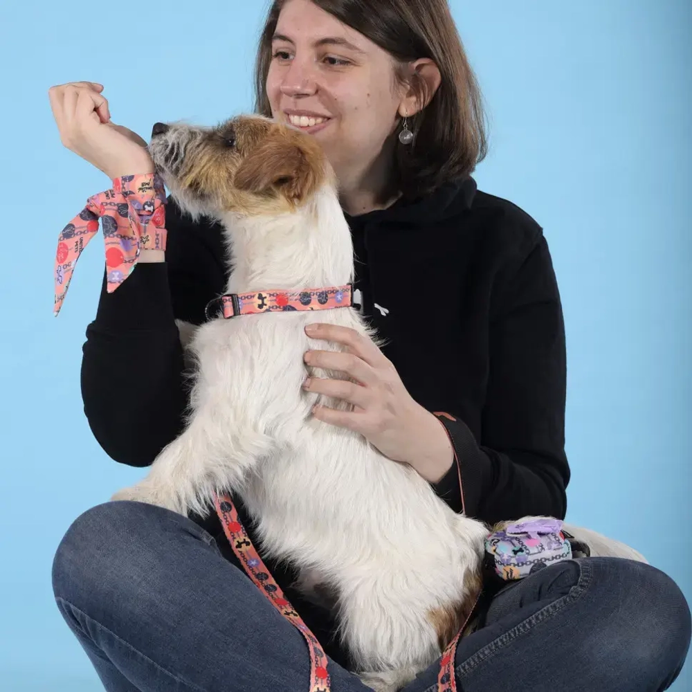 United pets complete me forever ошейник для собак, m 34-56/2 см, оранжевый с рисунком