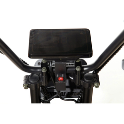 Электроскутер Skyboard Ural BR30-2WD 4000W