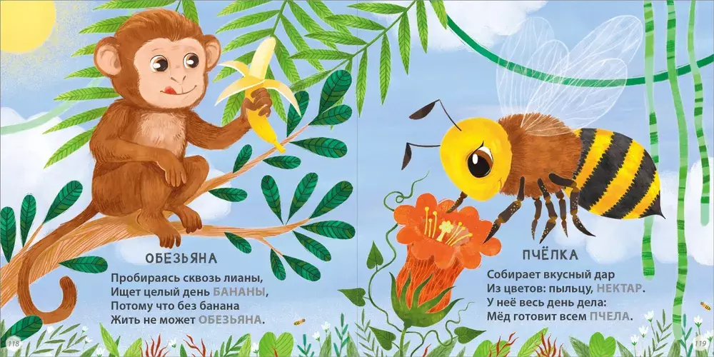 Загадки - рифмы. Подарочное издание