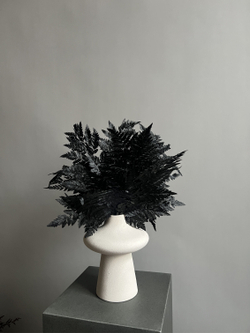 Папоротник черный