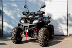 Квадроцикл GRIZZLY 250