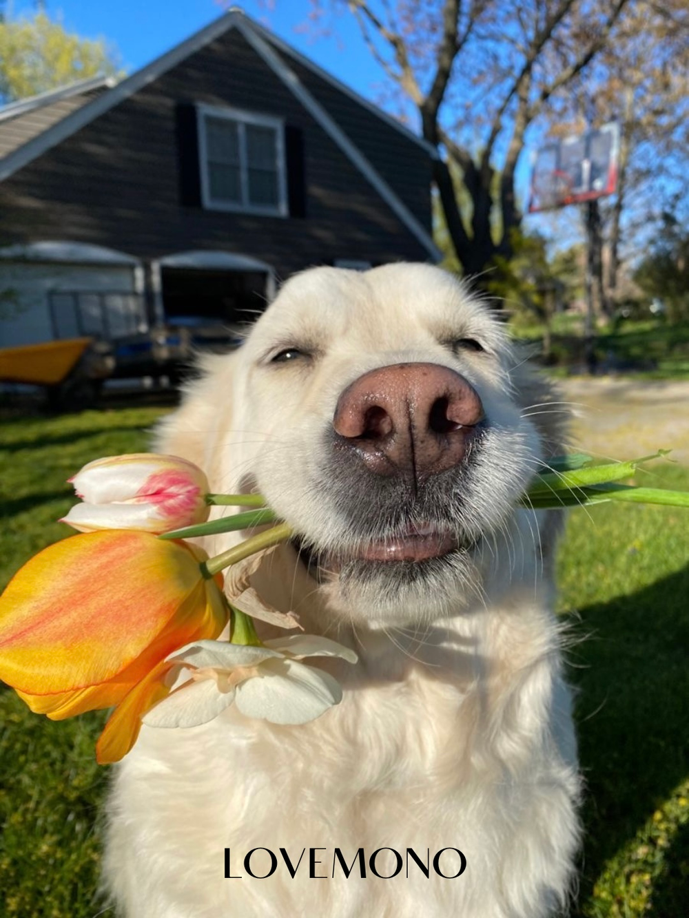 Бесплатная открытка в подарок к заказу