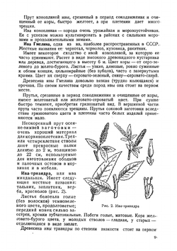 Производство корзин и плетеной мебели | Чесноков Василий Иванович