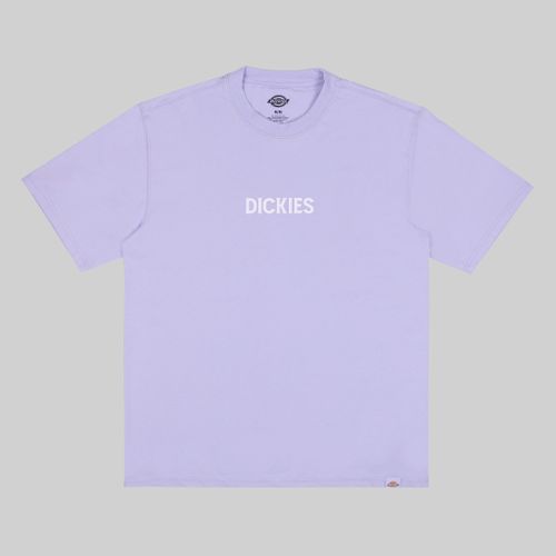 Футболка мужская Dickies Patrick Springs Tee артикул:DK0A4YR7H181 - купить в магазине Дайс