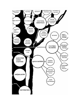 Генетика с основами селекции | М.Е. Лобашев