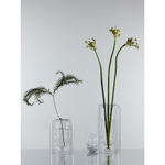 Ваза muse, 16 см