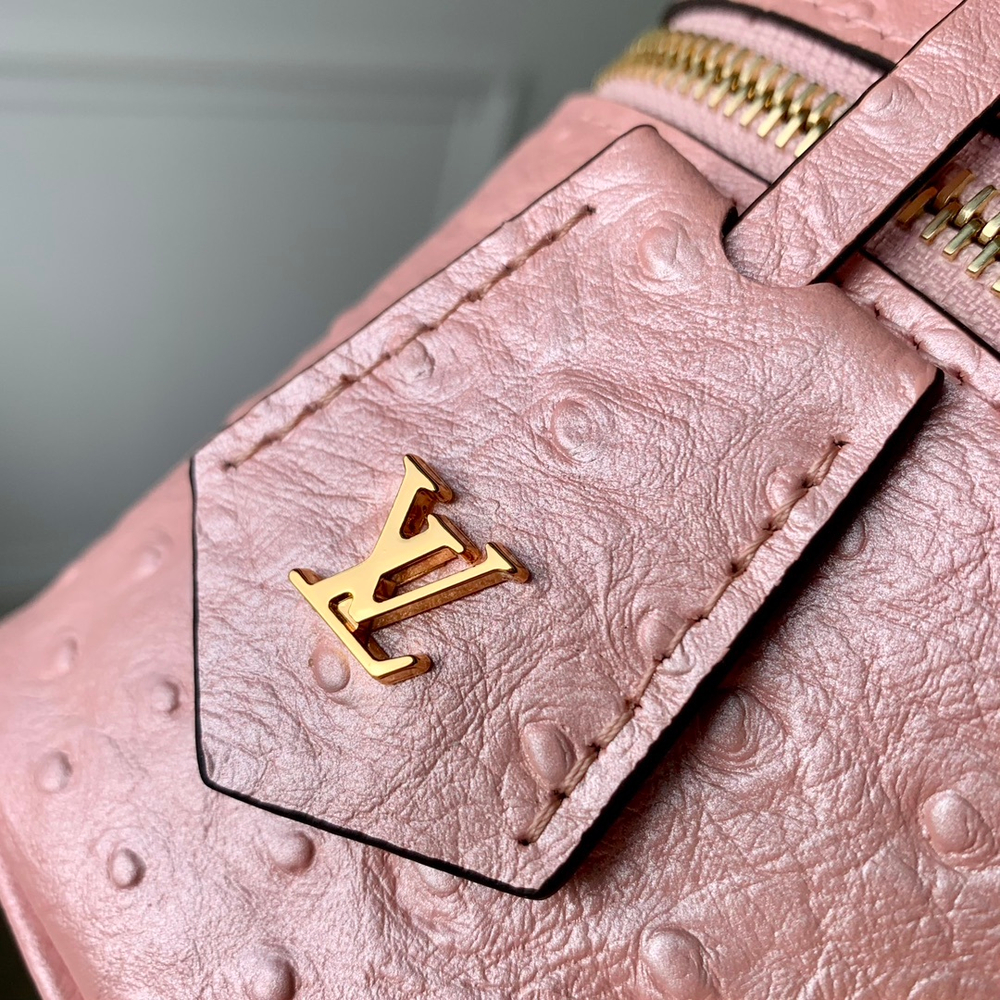 Louis Vuitton Vanity Chain Pouch