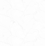 Victoria Stenova "ROSE" 1,06m*10m 588940 SPECTRUM
