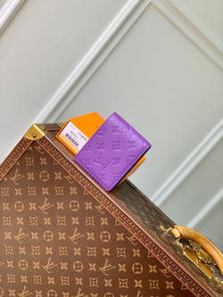 Louis Vuitton Multiple Wallet