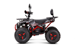 Квадроцикл YACOTA SIRIUS 2000W