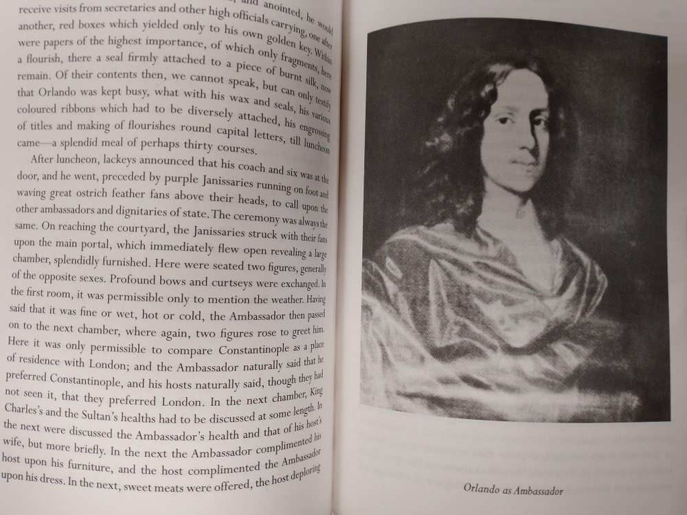 Orlando (Vintage Classics Woolf)