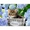Puzzle Tortoiseshell Kitty 300 pcs