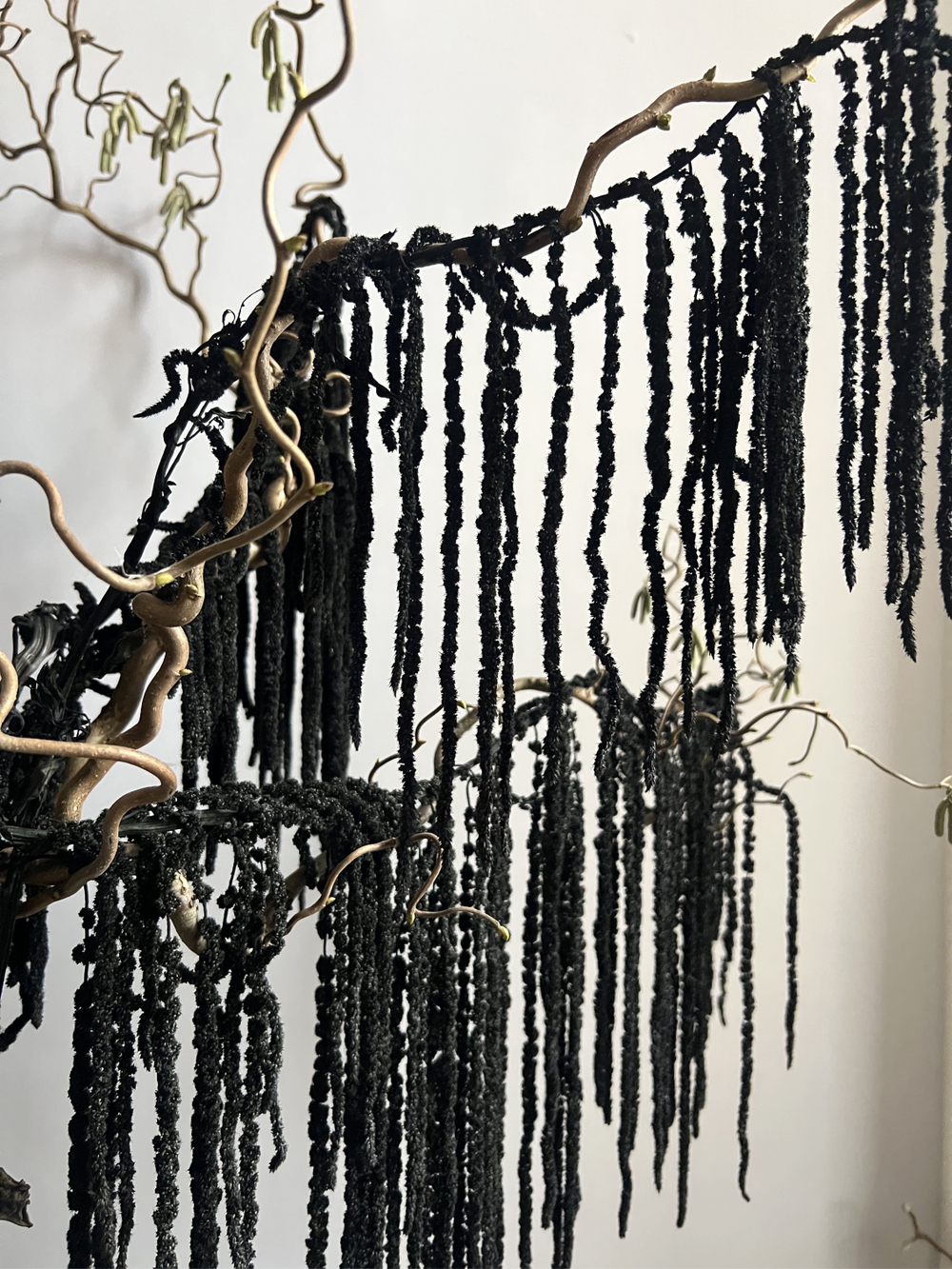 Амарант стабилизированный черный