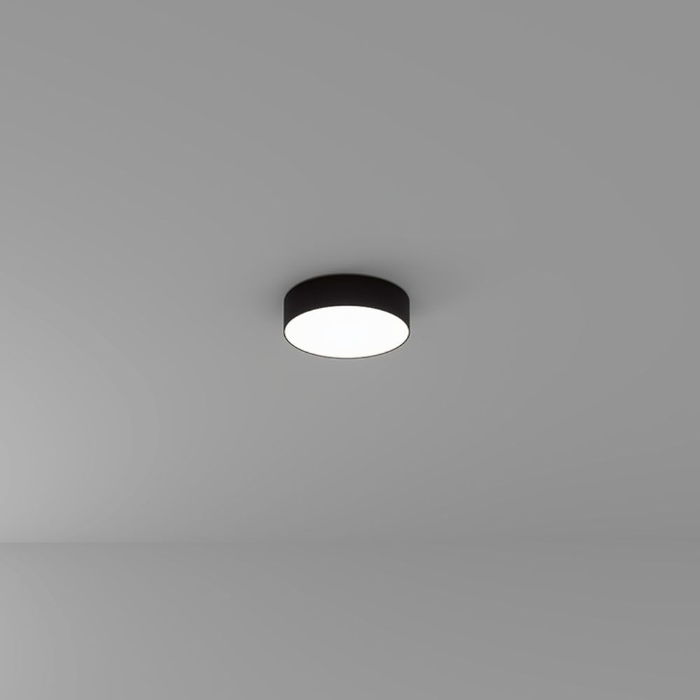 Потолочный светильник Arte Lamp