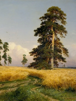 Картины-наклейки на стену для декора интерьерные №500