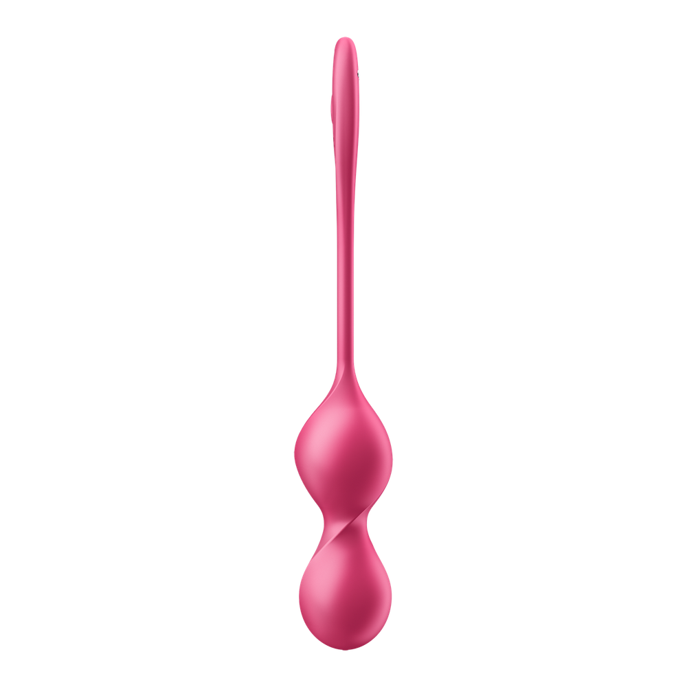 Love Birds 2 Connect App