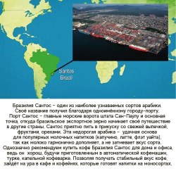Кофе без кофеина, в зернах 250г, 100% АРАБИКА , Бразилия, Сантос, свежая обжарка
