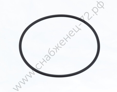 Уплотнительное кольцо задней крышки корпуса SP341492A28