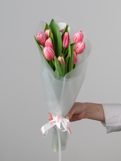 Тюльпаны микс