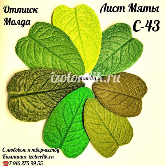 Молд С-43