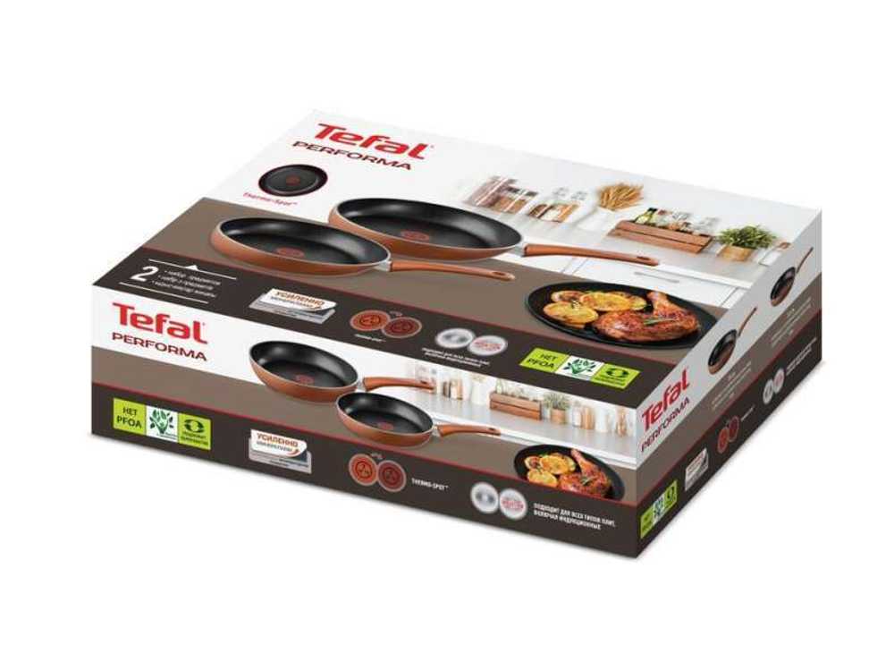 Набор сковород Tefal Performa 2 предмета 22/26 см 04190810