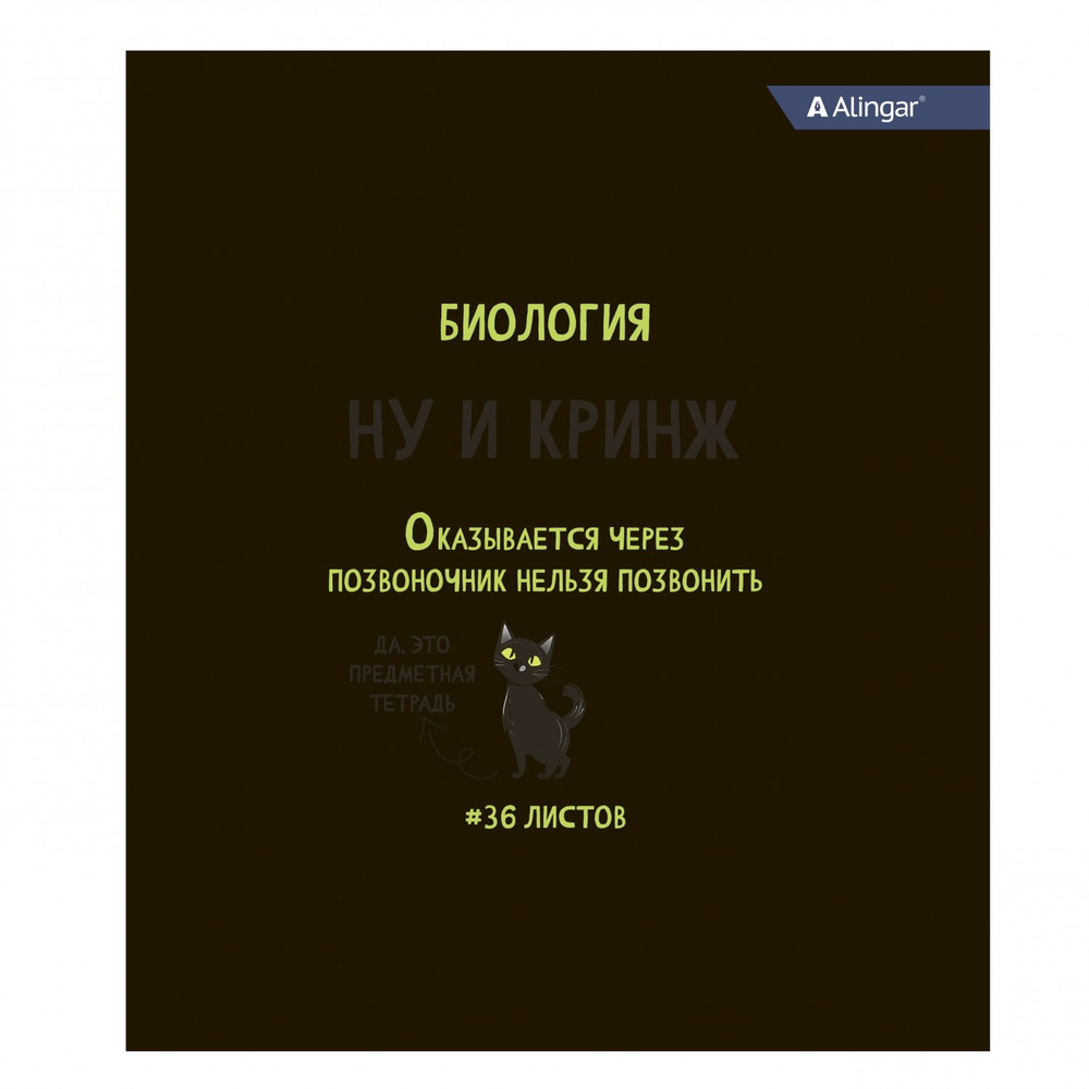 Комплект предметных тетрадей А5 36л.,10 предметов, со справочным материалом, скрепка, мелованный картон (стандарт), блок офсет, Alingar "Котомемы"