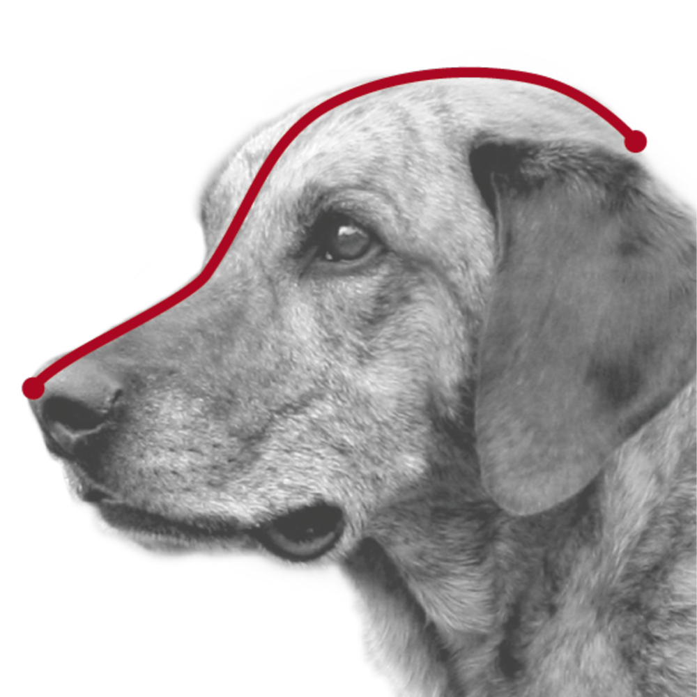 Намордник, размер L (32 см), пластик, Trixie