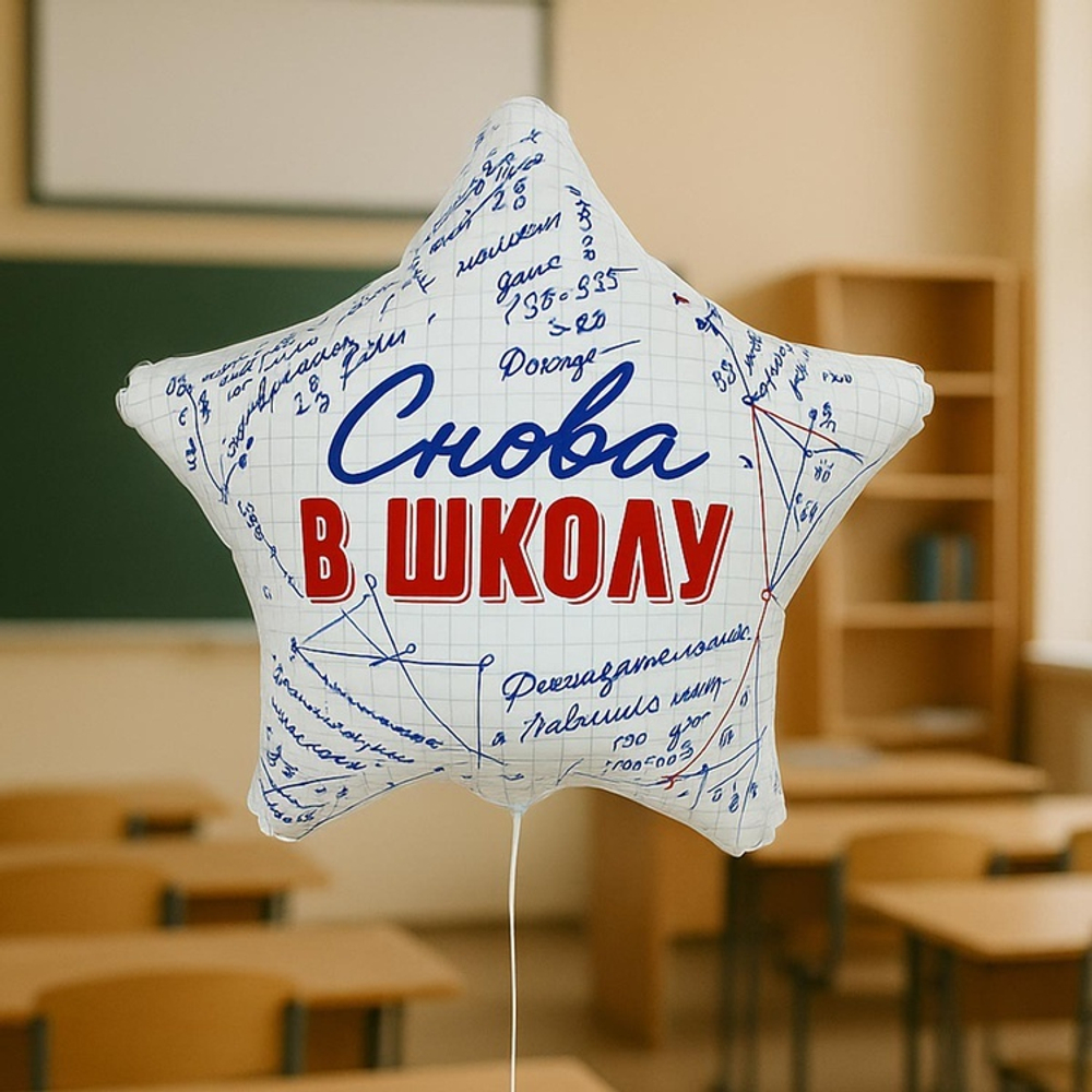 Звезда "Снова в школу"