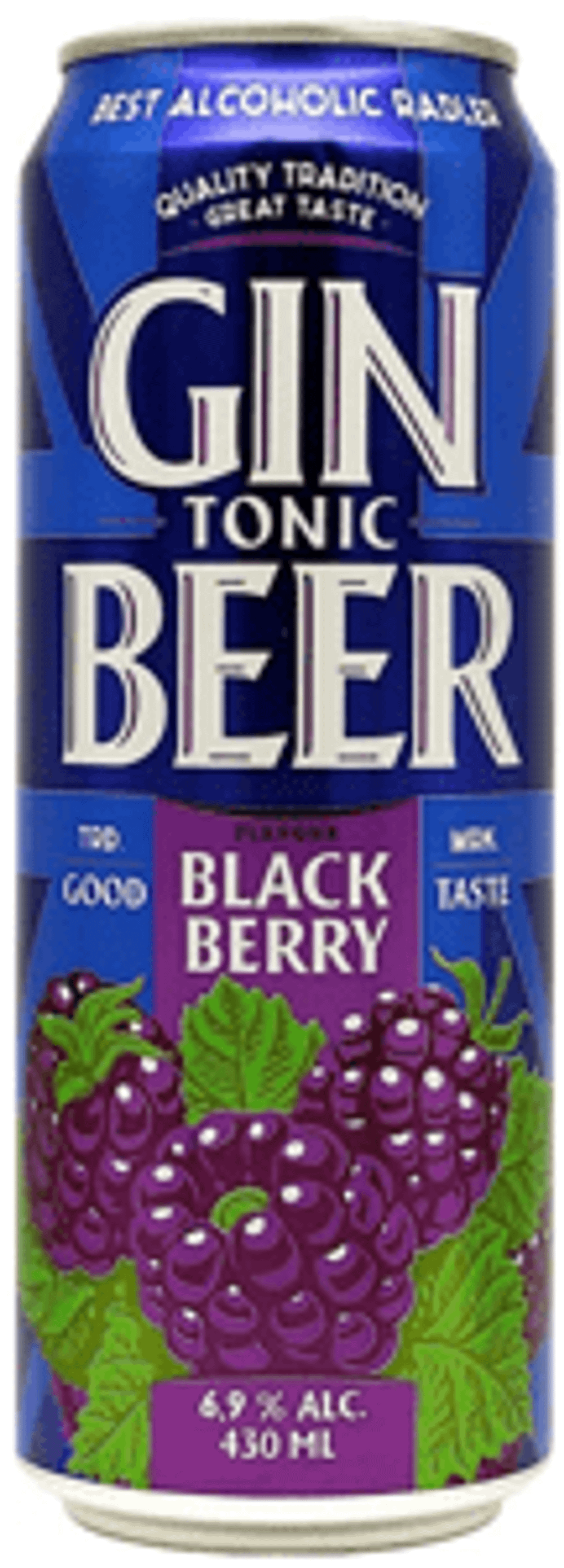 ДжинБир ЕЖЕВИКА 0,43/24