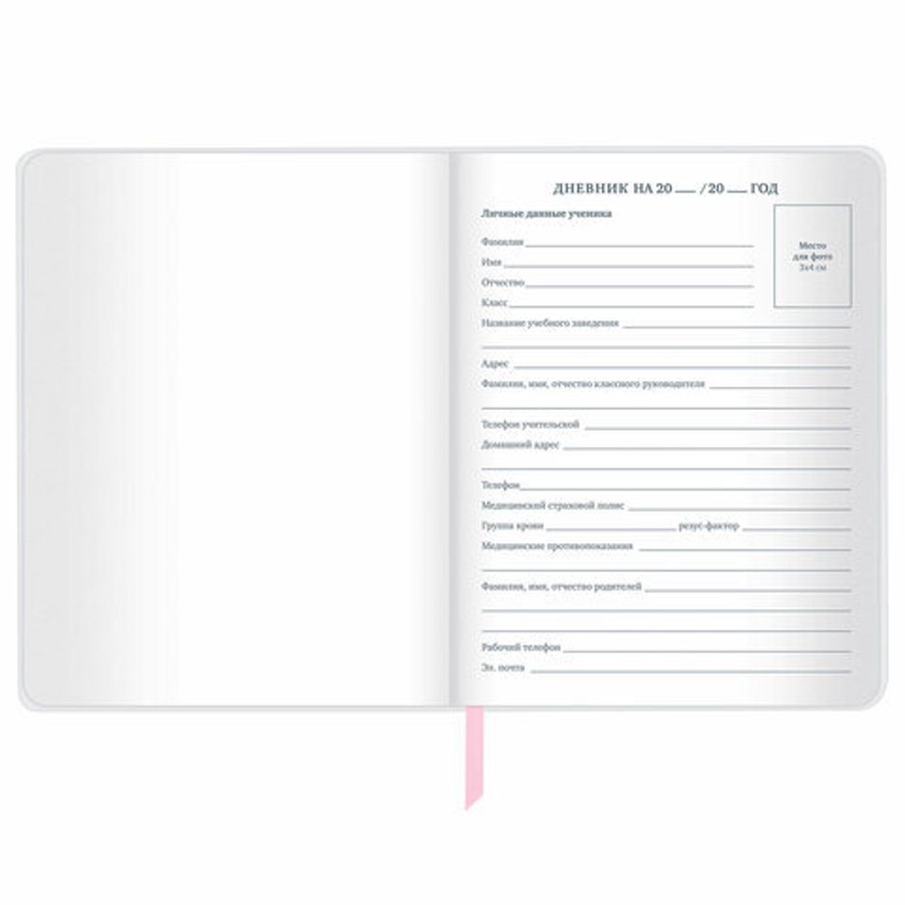 Дневник 1-11 класс 48 л., кожзам (твердая), магнитный клапан, ЮНЛАНДИЯ, "Панда", 106563