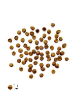 Сухой корм для котят, беременных и кормящих кошек с индейкой Cat Kitten Healthy Growth BRIT CARE 0,4кг