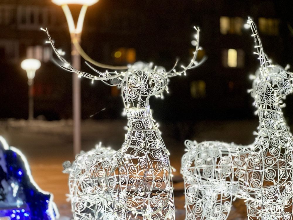 Светодиодная конструкция "Сани с двумя оленями"