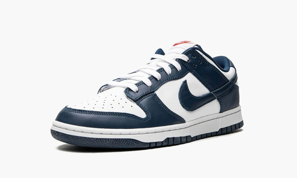Nike Dunk Low Retro "USA / Valerian Blue"
