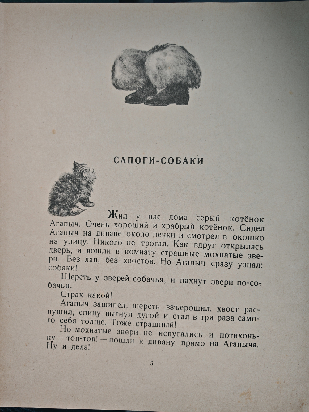 Кот и собака