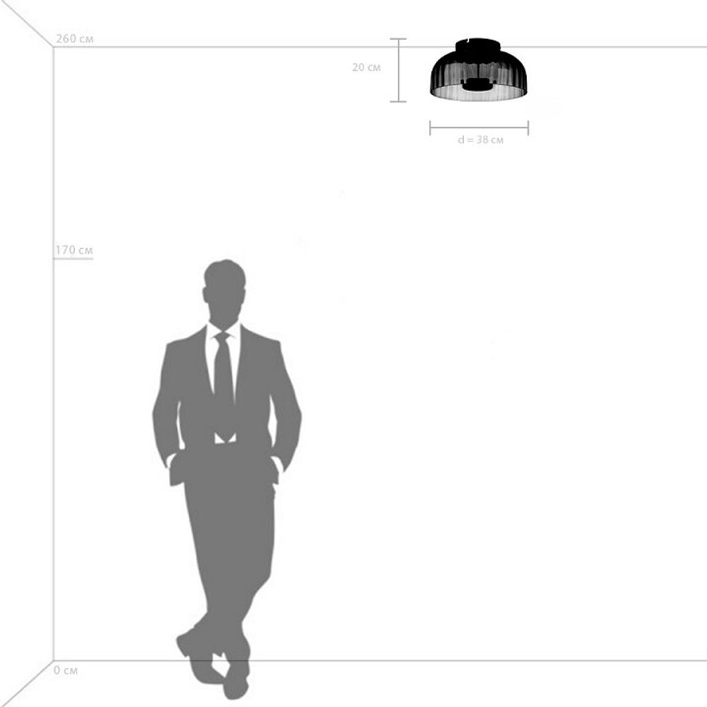 Накладной светильник Lightstar Celesta 809061