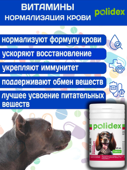 Polidex Recovit для собак, Кормовая добавка для восстановления организма после операций, травм, больших потерь крови, Полидекс Рековит, 150 таб