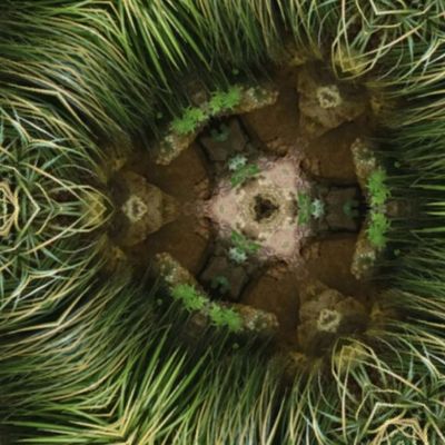 Земля в иллюминатор