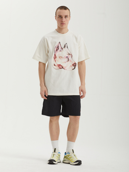 Мужская Футболка Obey Pit