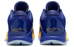 Кроссовки Nike Zoom Kobe 5 Protro "5 Rings"