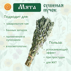 Мята дикая пучок.
