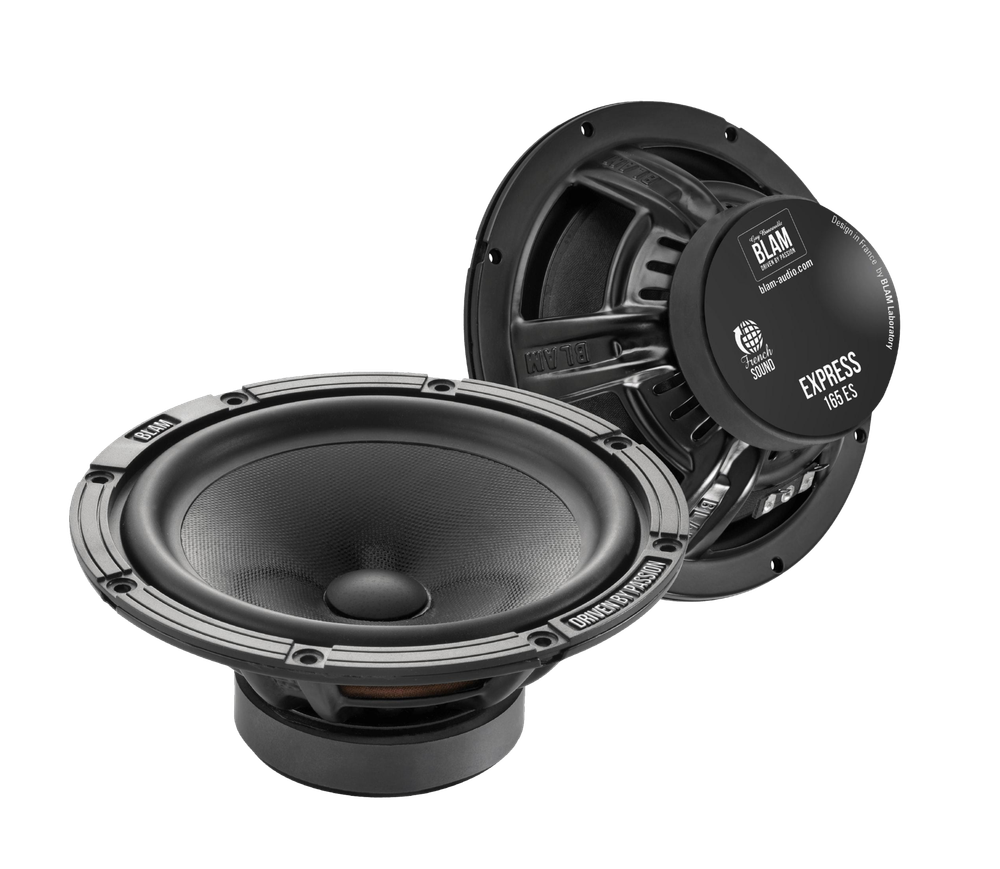 Мидбасс BLAM W165ES - BUZZ Audio