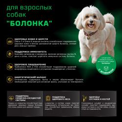 Корм сухой для взрослых собак породы Болонка, с ягненком, 2,5 кг, QUATTRO