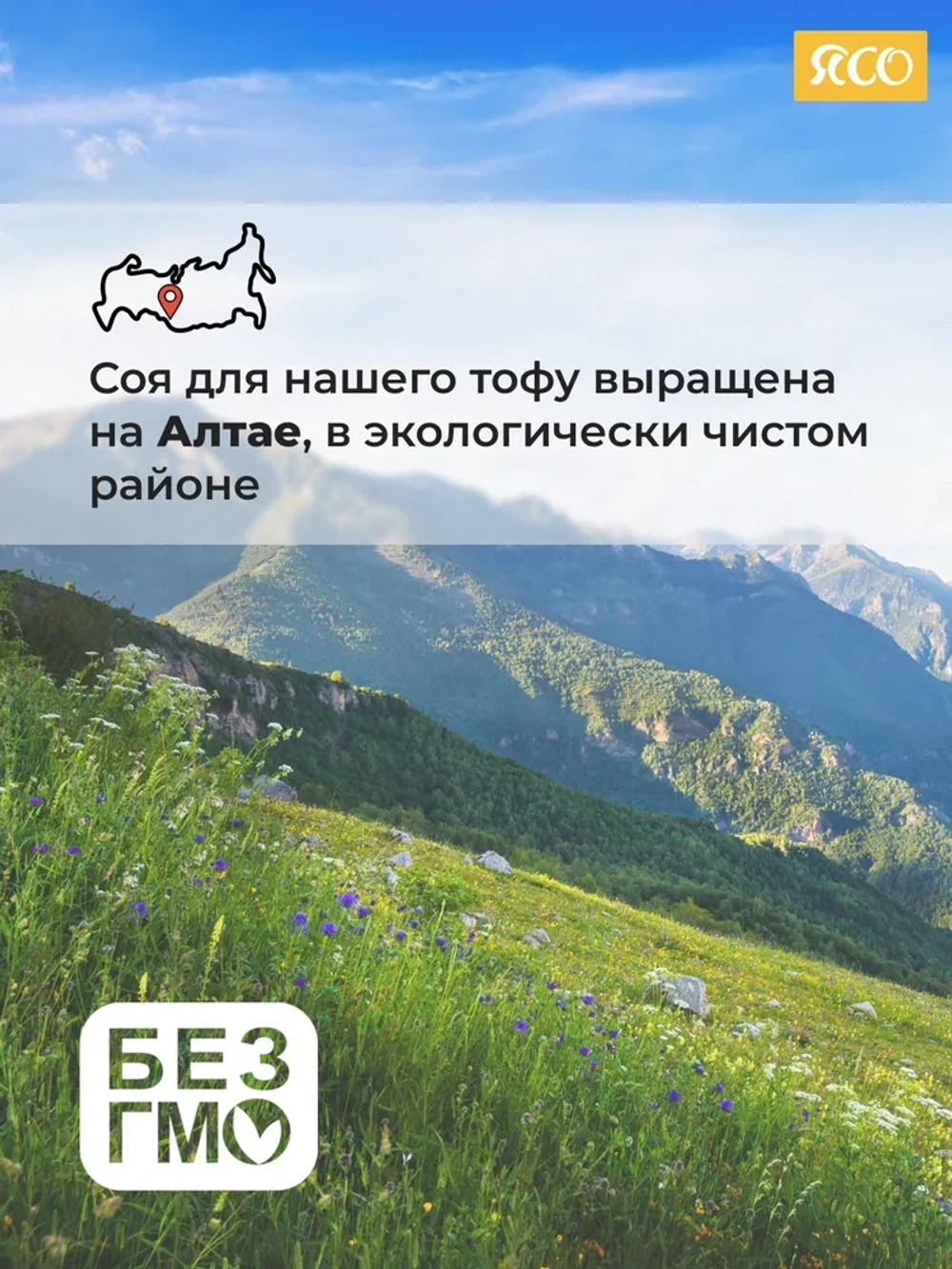 Тофу, Ароматный гриль