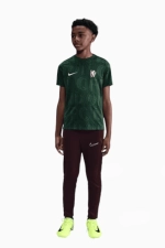 Футболка Nike Chelsea FC 25/26 Academy Pro Junior - зеленый