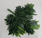 Бамбук крупный лист / Арт 1030