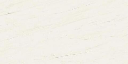 Atlas Concorde Plan Bianco Dolomite Polished 12 mm 162x324