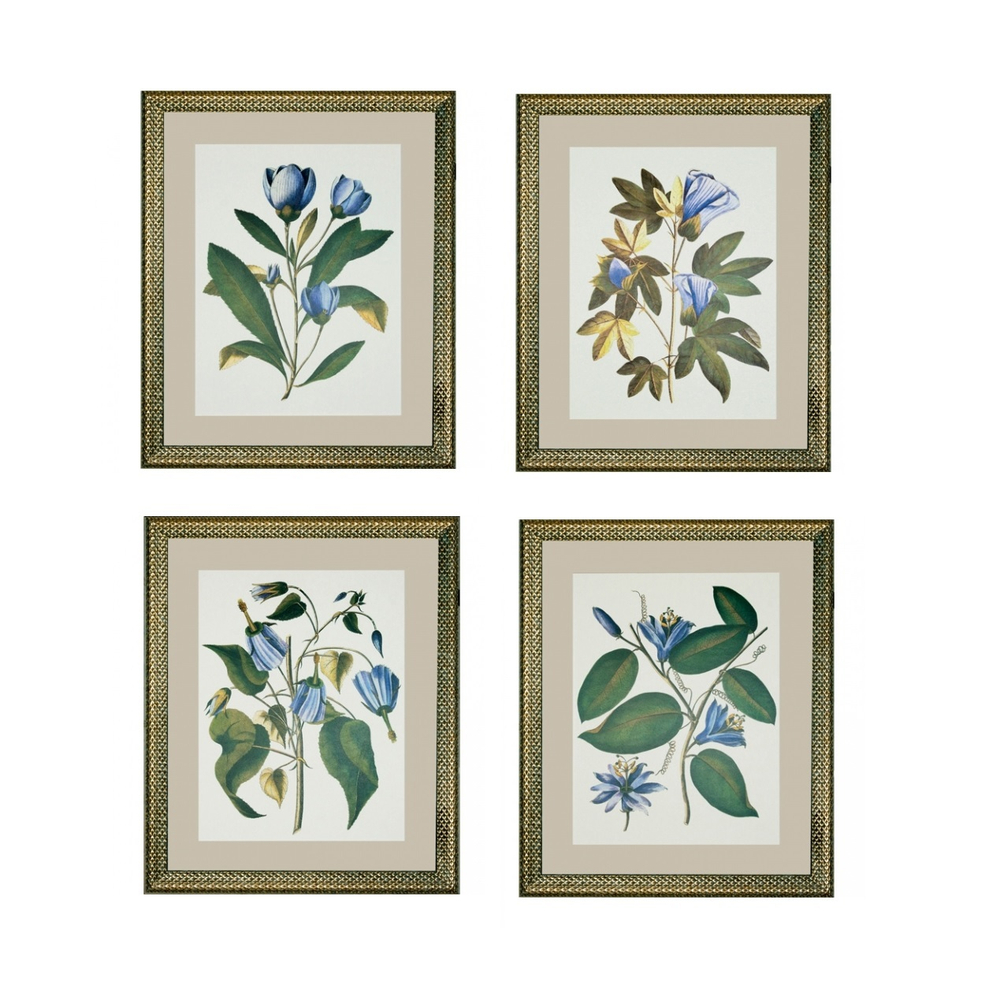 Постер Цветы голубые 42х52 см [Арт. RS3724PP178/166G]