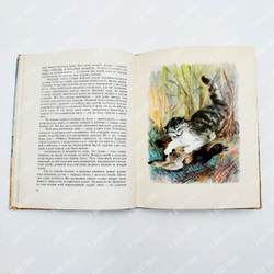 Успенский Герасим Александрович .Васька-путешественник. Ил. А. Костровой. Ленинград Детгиз, 1955.