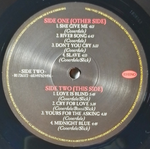 Whitesnake / Into The Light (2LP)