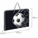 Папка для труда на молнии с ручками ПИФАГОР А4, 1 отделение, пластик, органайзер, "Ball kick", 272229